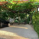 דירה Olive 2