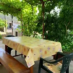 Olive 2 Grebaštica
